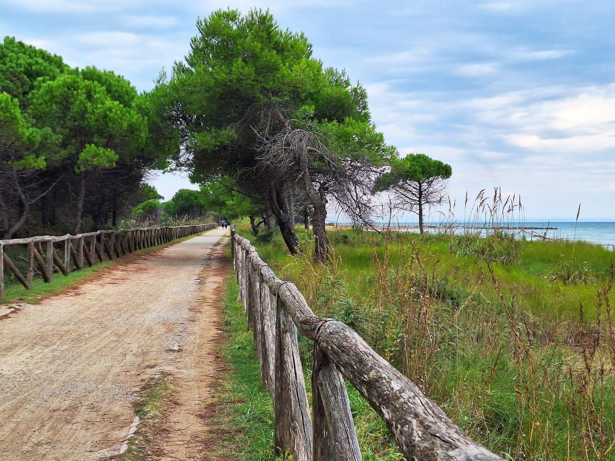Seaside Bright Flat With Terrace - Beahost Bibione